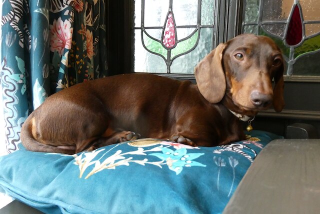 ザ キャッスル タバーン