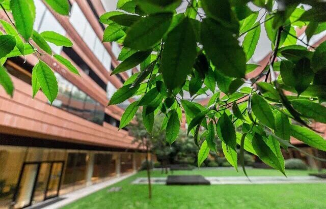 ホワルーシエ上海トゥエルヴ アット ヘンシャン by IHG (上海衡山路十二號華邑酒店 - IHG 旗下酒店)