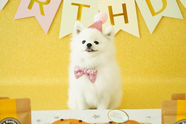 ホリデイイン エクスプレス マンハッタン タイムズスクエア サウス by IHG