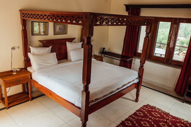 デブラ ウダイプール