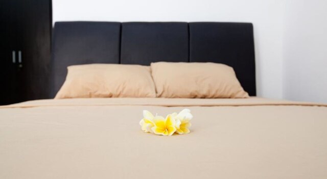 スミニャック ポイント ゲスト ハウス