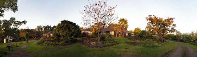 アルティプラニコ ラパ ヌイ