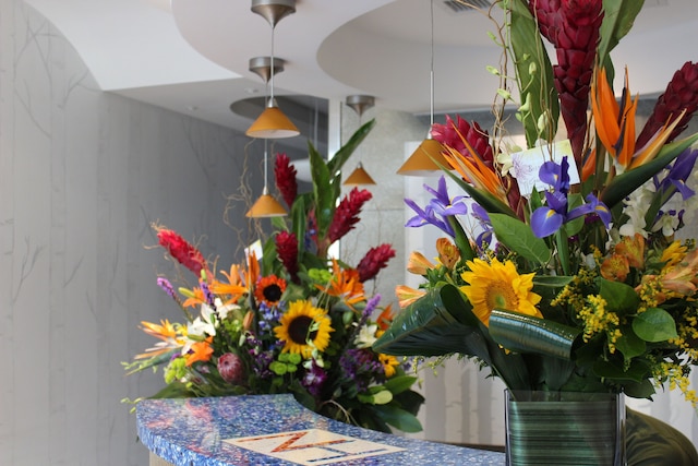 ネスヴァ ホテル