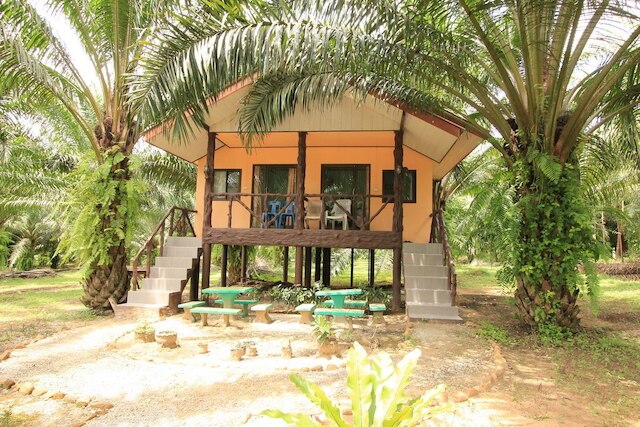 カオソック パームビュー