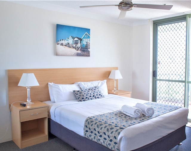 モンタナ パームス リゾート