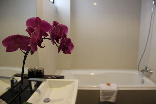 ピングホテル セミニャック