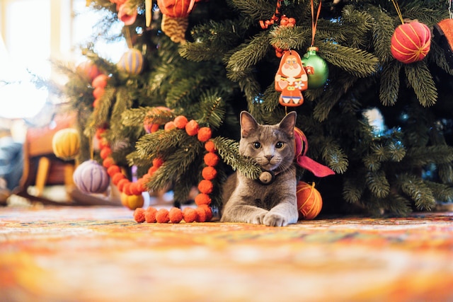ザ レッド ライオン イン