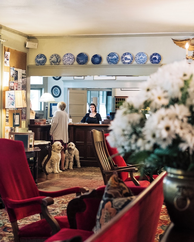 ザ レッド ライオン イン