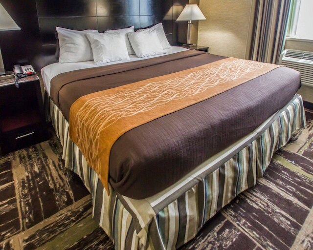 ロードウェイ イン ブロンクス ズー