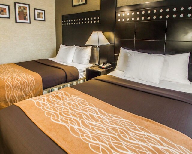 ロードウェイ イン ブロンクス ズー