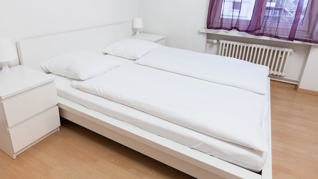 アパートメンツ スイス スター ユニバーシティ