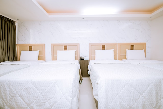 ガイド ホテル 桃園 フーシン (承攜行旅桃園復興館)