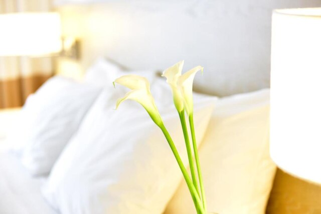 ペスタナ サウス ビーチ アール デコ マイアミ