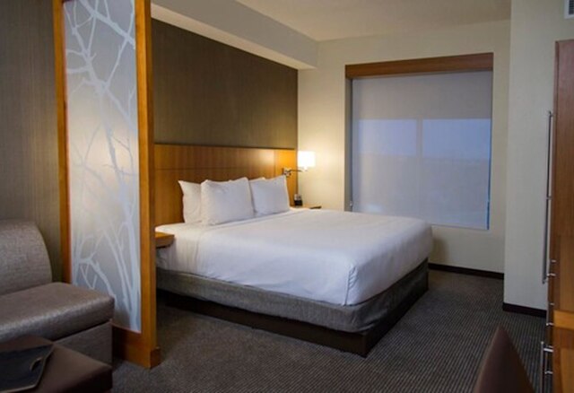 ハイアット プレイス ノビ