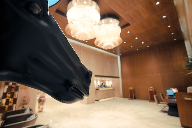 モノテル ラグジュアリー ビジネス ホテル