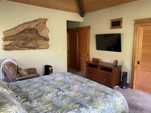 ボルケーノ レインフォレスト ロッジ