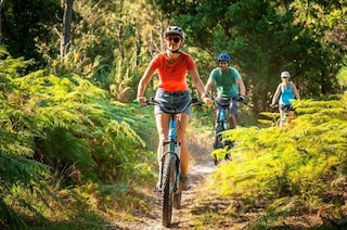 ザ オリジナルズ シティ オテル ル ロッジ