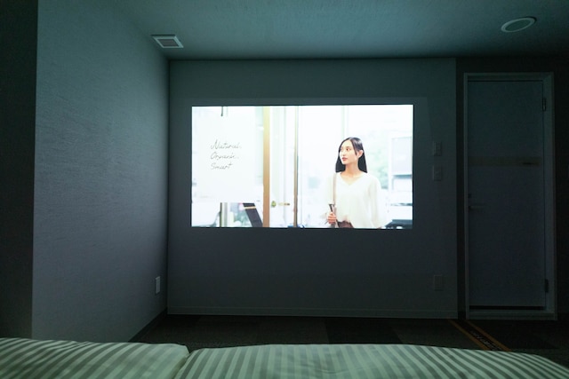 スーパーホテル東京・赤羽駅南口