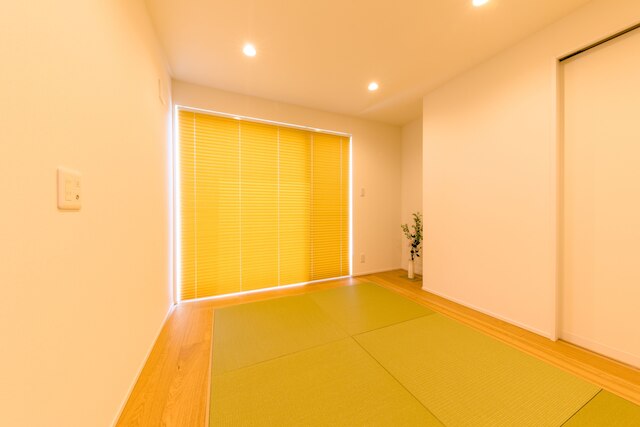 Frame View Mt.Fuji Villa-west-