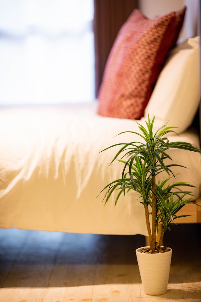 スイッチハウス 秋葉原・菊川エリア