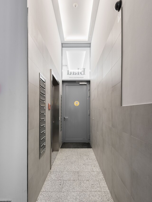 ヌマ フランクフルト ブラウ