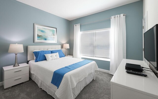 4815DS- ノン レンティング フェブラアリー 12023 ストーリー レイク