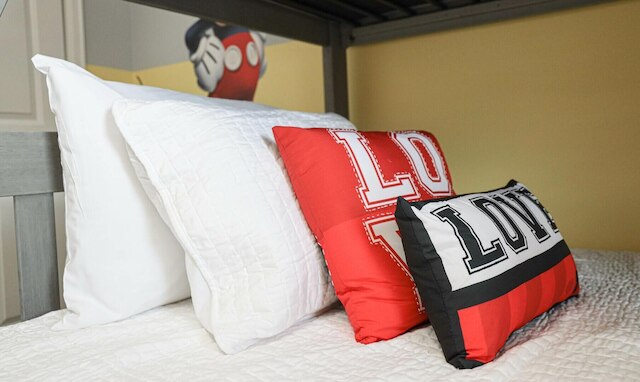 4815DS- ノン レンティング フェブラアリー 12023 ストーリー レイク