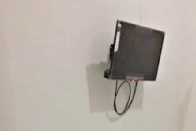 シワランケルト F7