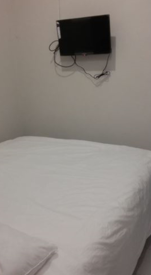 シワランケルト F7