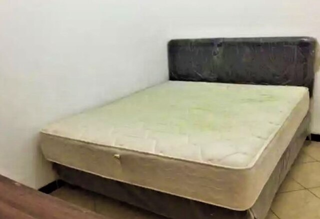 ペンギナパン メリ