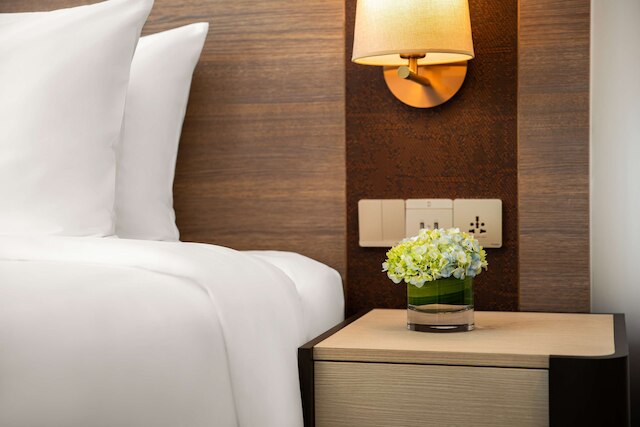 ラディソン ホテル ダナン