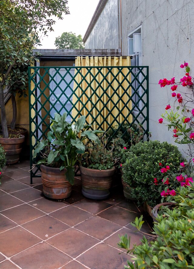 ローカルウェイのテラサリオデジャネイロ