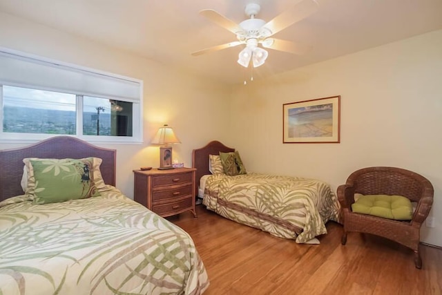 バンヤンツリー 404d