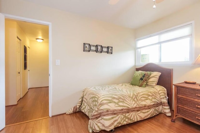 バンヤンツリー 404d