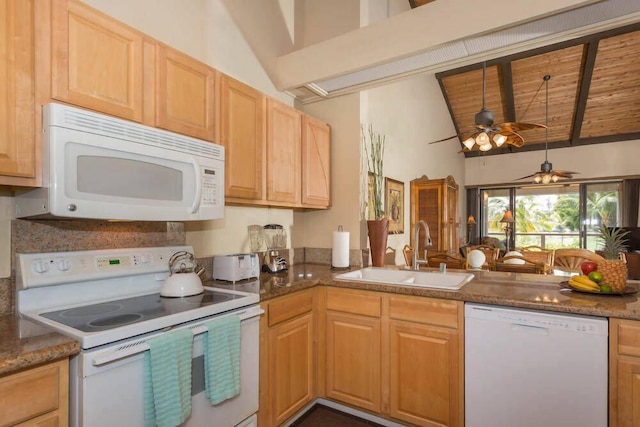 サーフ & ラクット クラブ N#.6-303