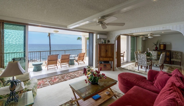 コナ リーフ #D22