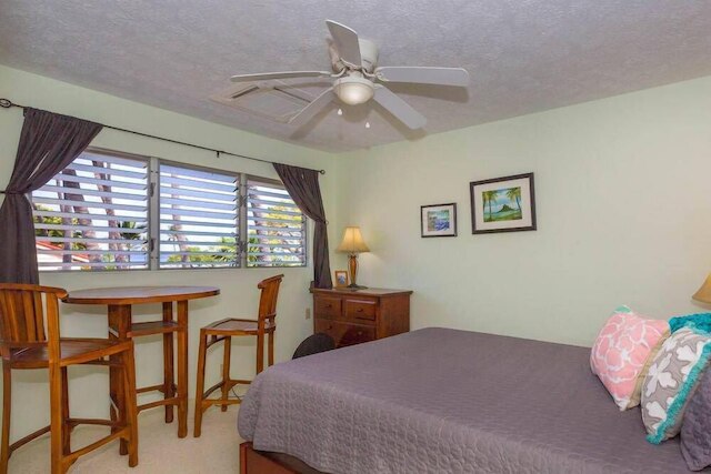 サーフ & ラクット クラブ N#.24