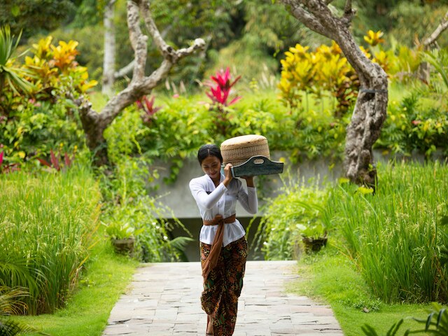 アディワナ・スウェタ