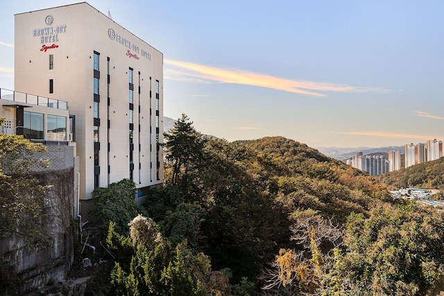 Brown-dot Hotel Signature