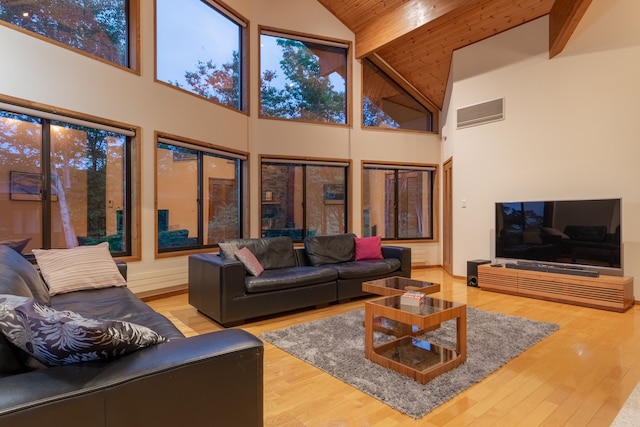 STARCHASE by H2 Life