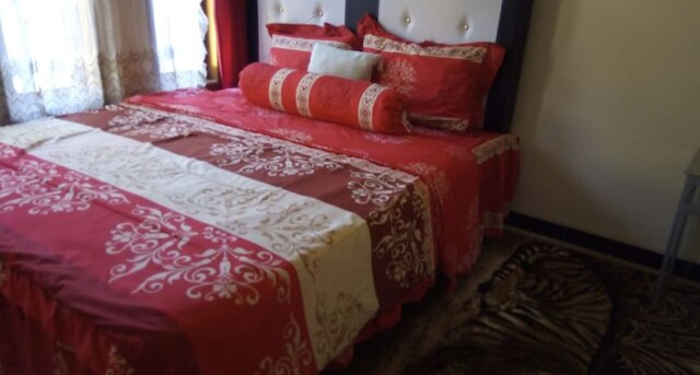 キキ ホームステイ シャリア