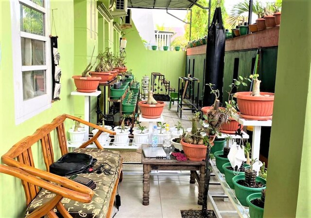 ブントゥス ゲスト ハウス