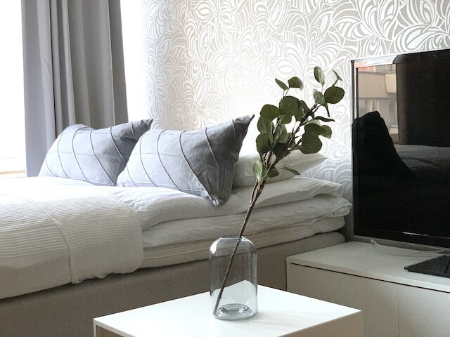 シティ ホーム フィンランド スペーシャス ダウンタウン アパートメント