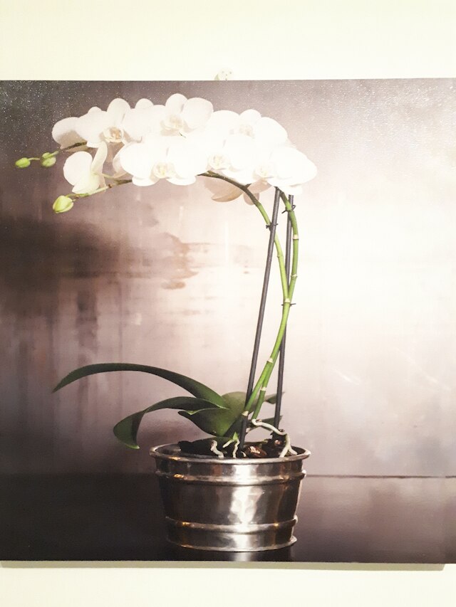 アークティック ルームズ レクトル