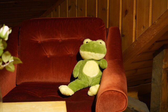 アークティック ルームズ レクトル