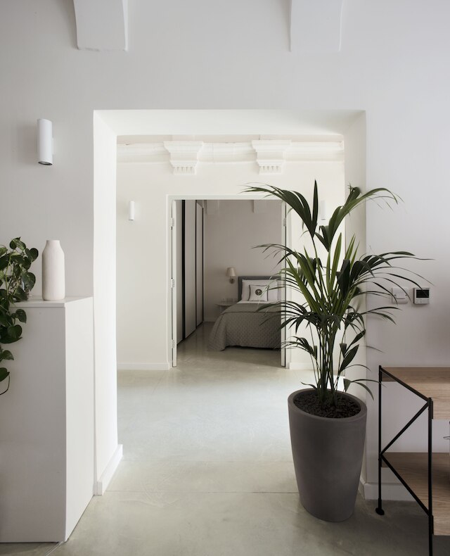 トラブクス ブティック リビング