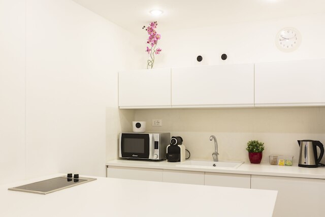 notaMi - ブレラの女王 - サンマルコ1