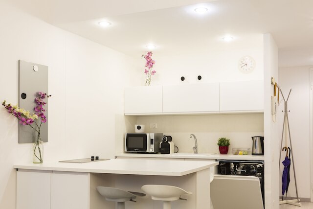 notaMi - ブレラの女王 - サンマルコ1