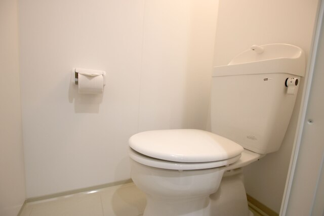 Phoenix 琉球・平安山原