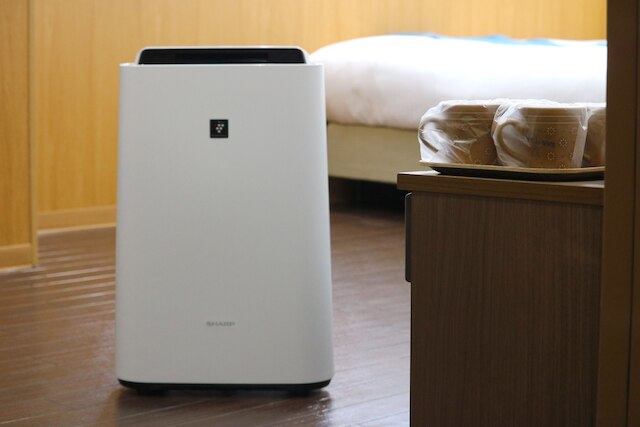 Phoenix 琉球・平安山原